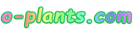 o-plants.com